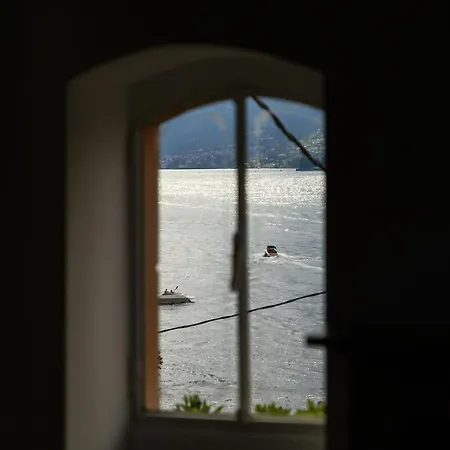 Secret Garden *