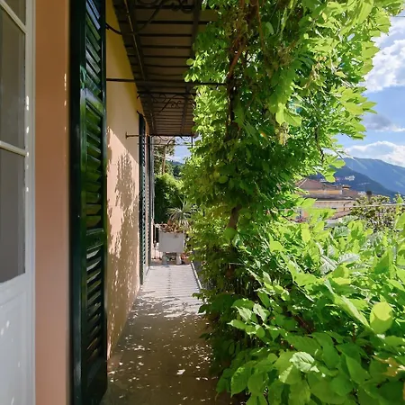 Secret Garden Apartamento